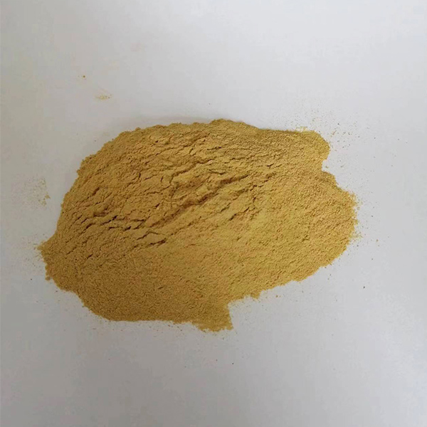 菌體蛋白