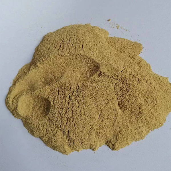 菌體蛋白