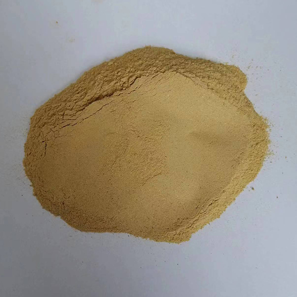 菌體蛋白